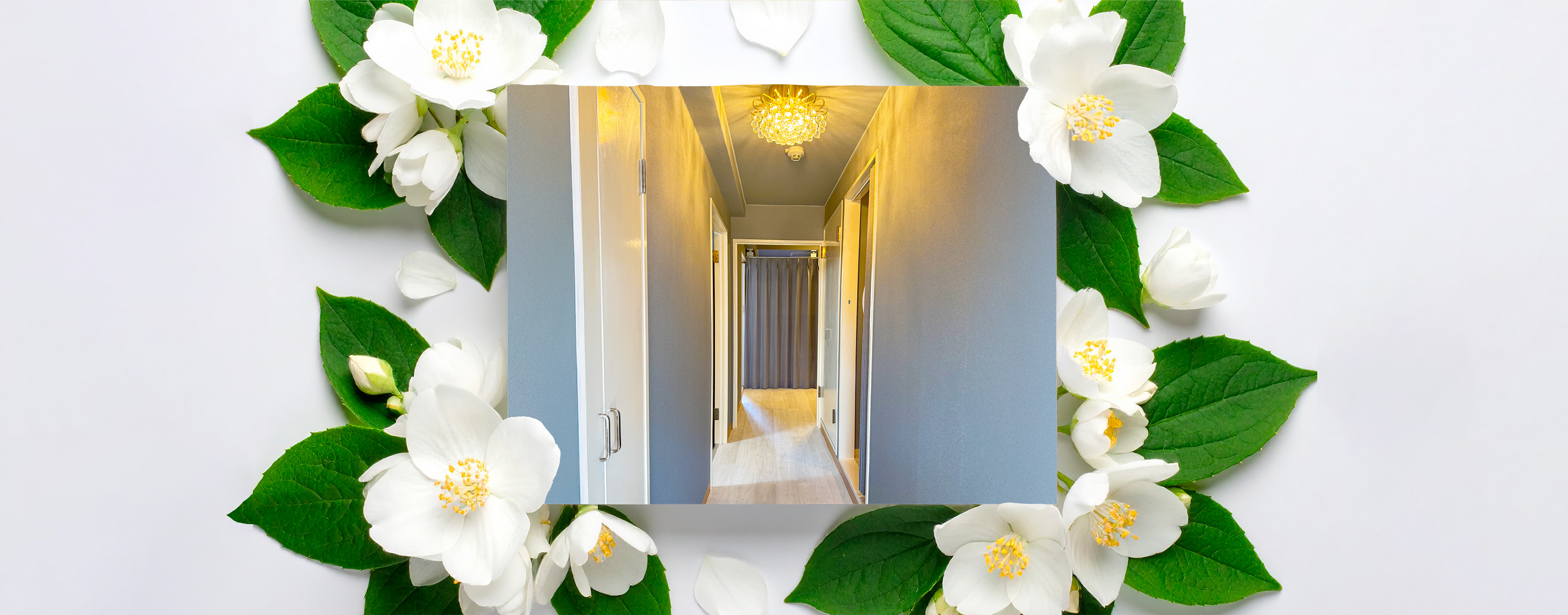 メインイメージ